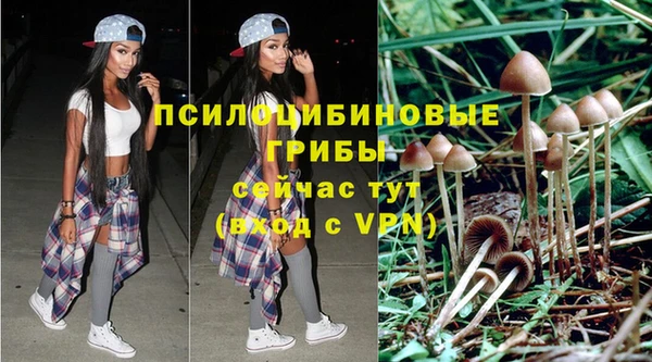первитин Балахна