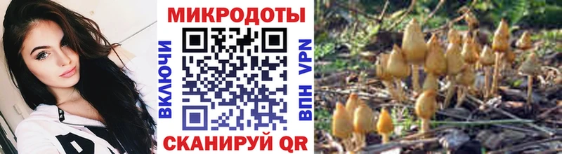 цена наркотик  Коммунар  Псилоцибиновые грибы Psilocybine cubensis 
