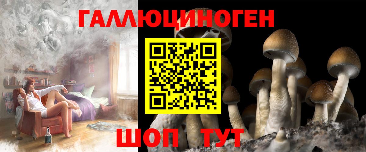 Галлюциногенные грибы Cubensis Коммунар